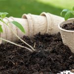 Få en grønnere og mer bærekraftig hage med disse enkle tipsene