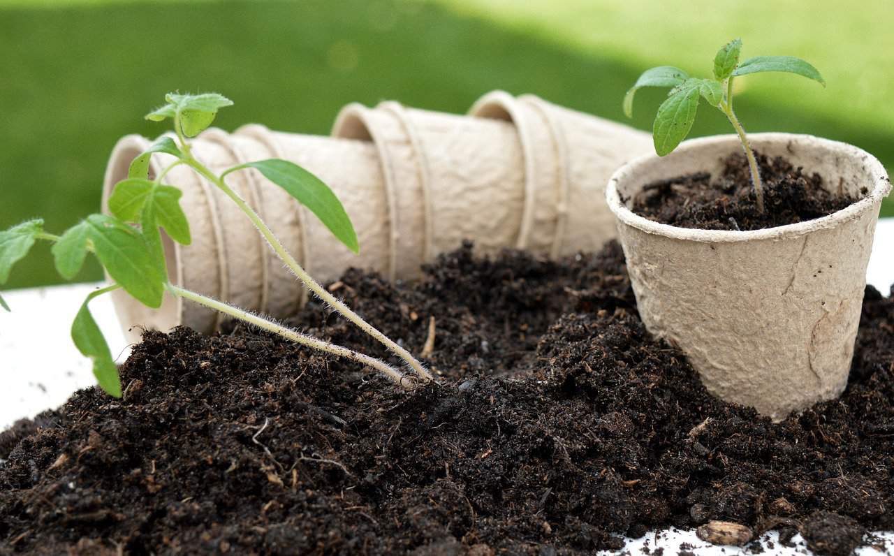 Få en grønnere og mer bærekraftig hage med disse enkle tipsene
